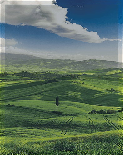 UMWELT- UND OHS-MANAGEMENT